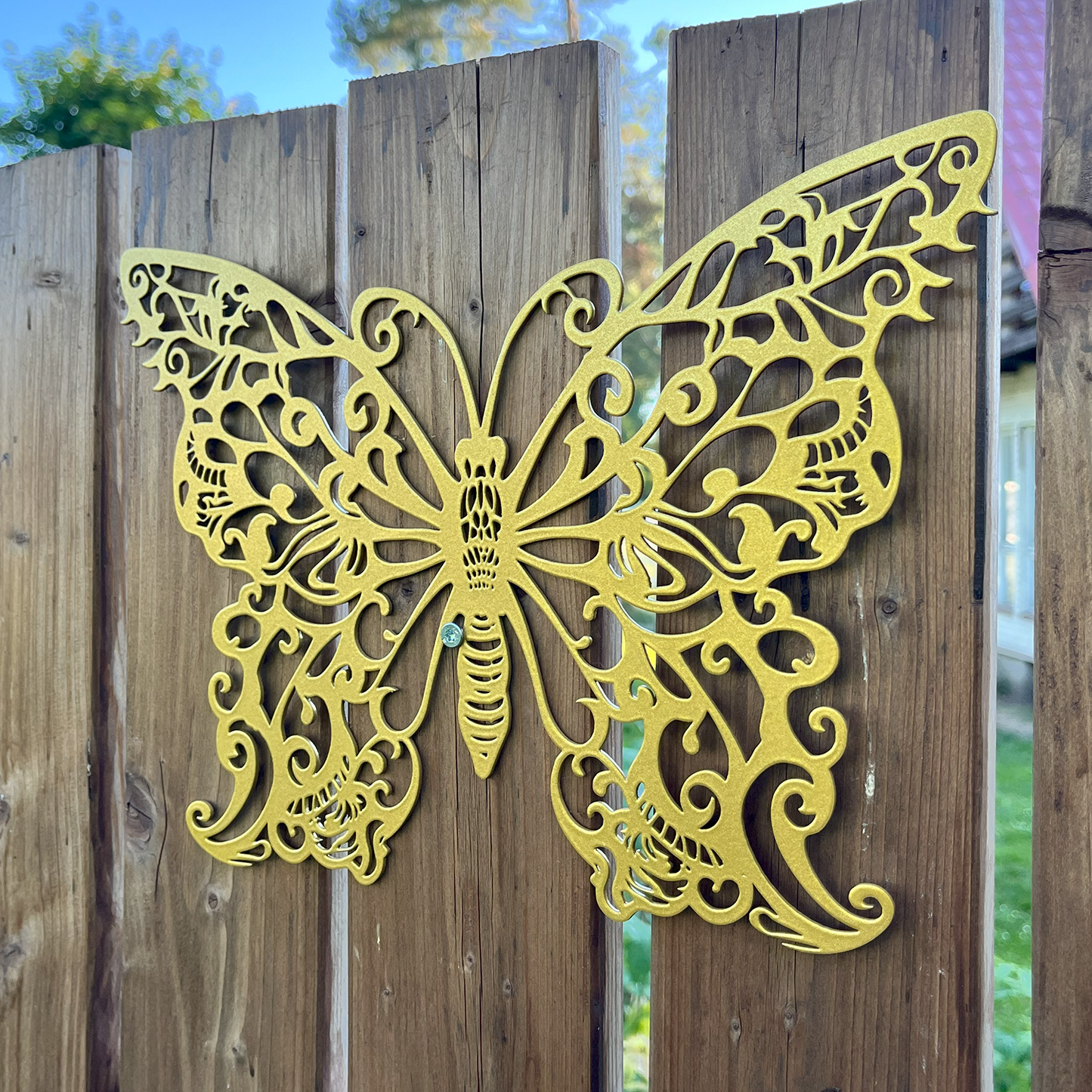 A Beautiful Butterfly