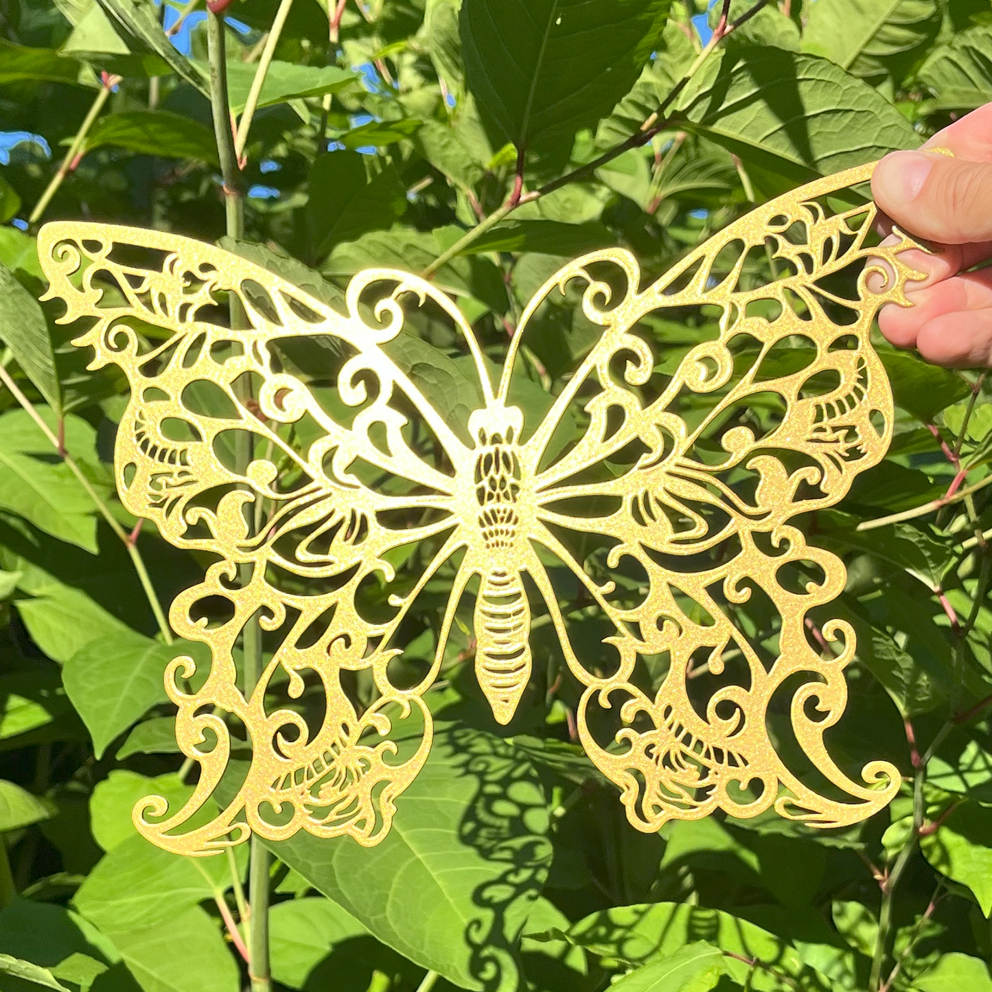 A Beautiful Butterfly
