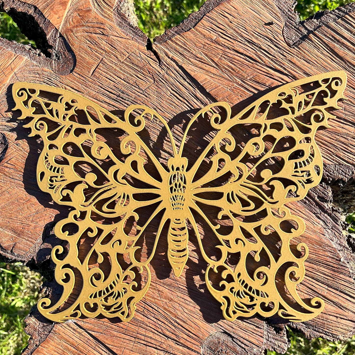 A Beautiful Butterfly