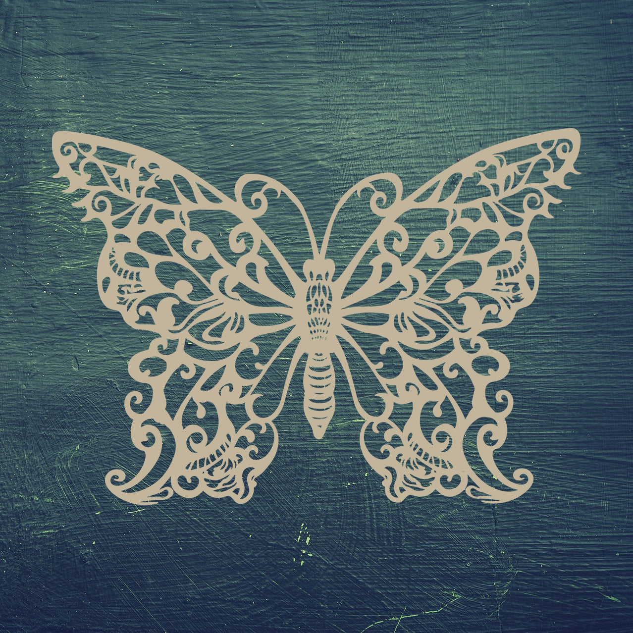 A Beautiful Butterfly